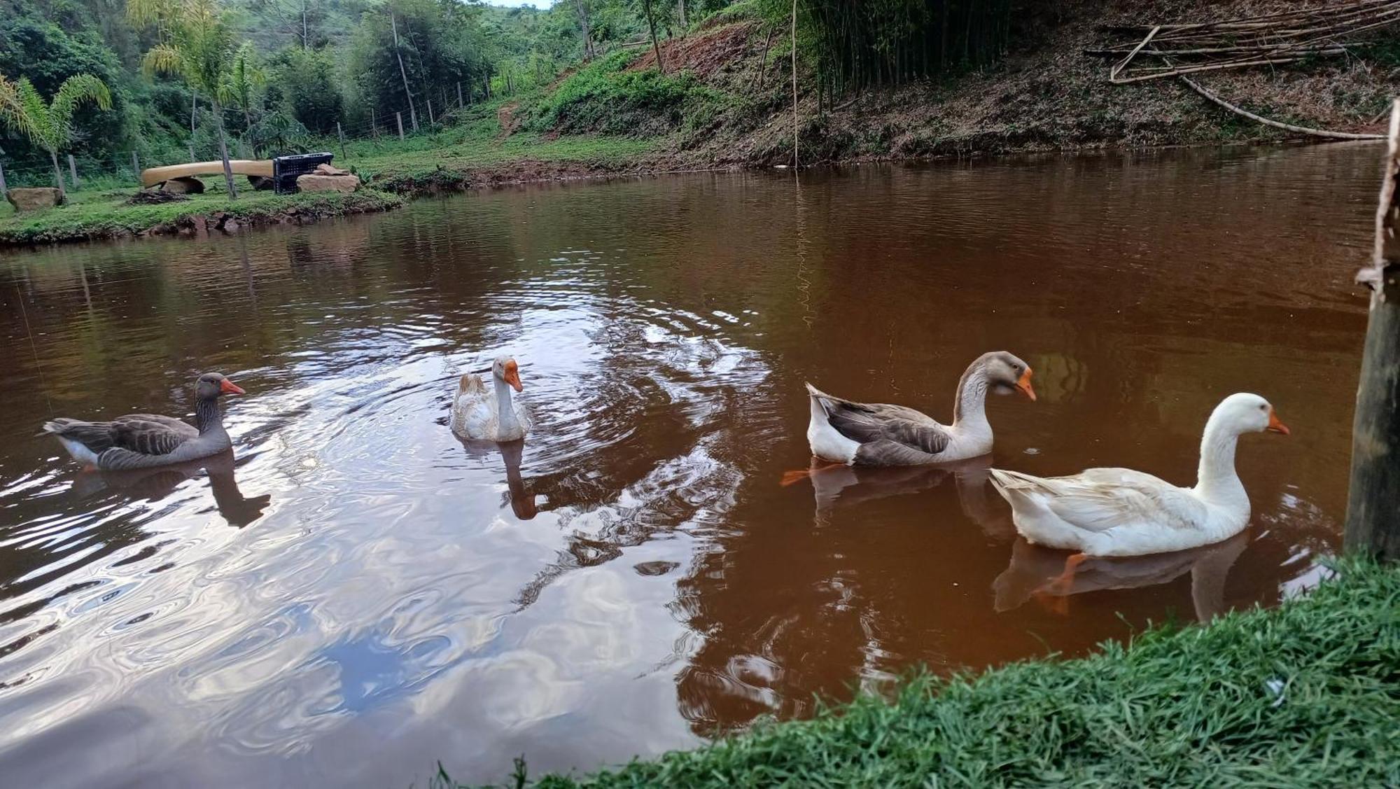 Sitio Reis Membeca Paraiba do Sul Bagian luar foto