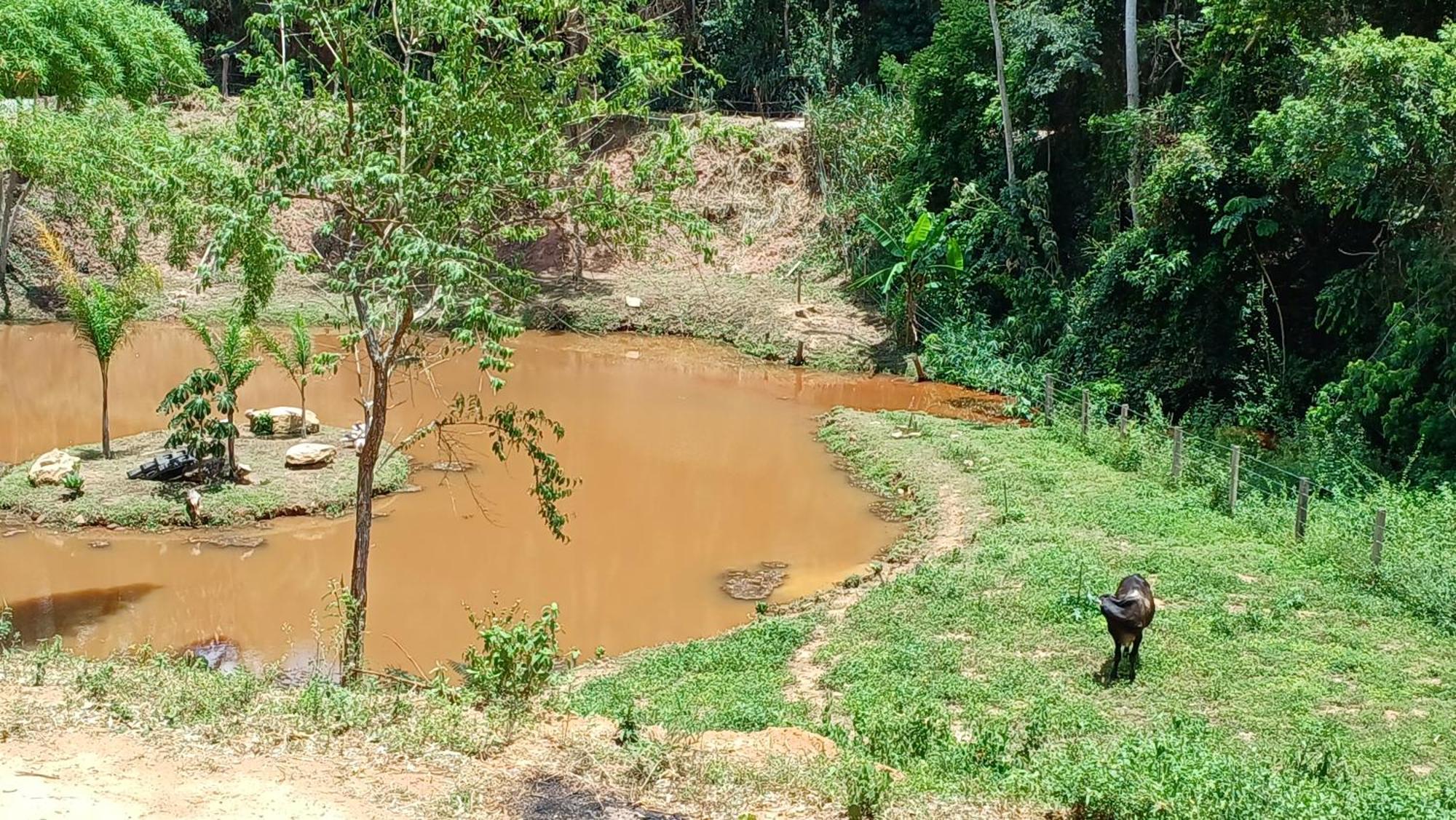 Sitio Reis Membeca Paraiba do Sul Bagian luar foto