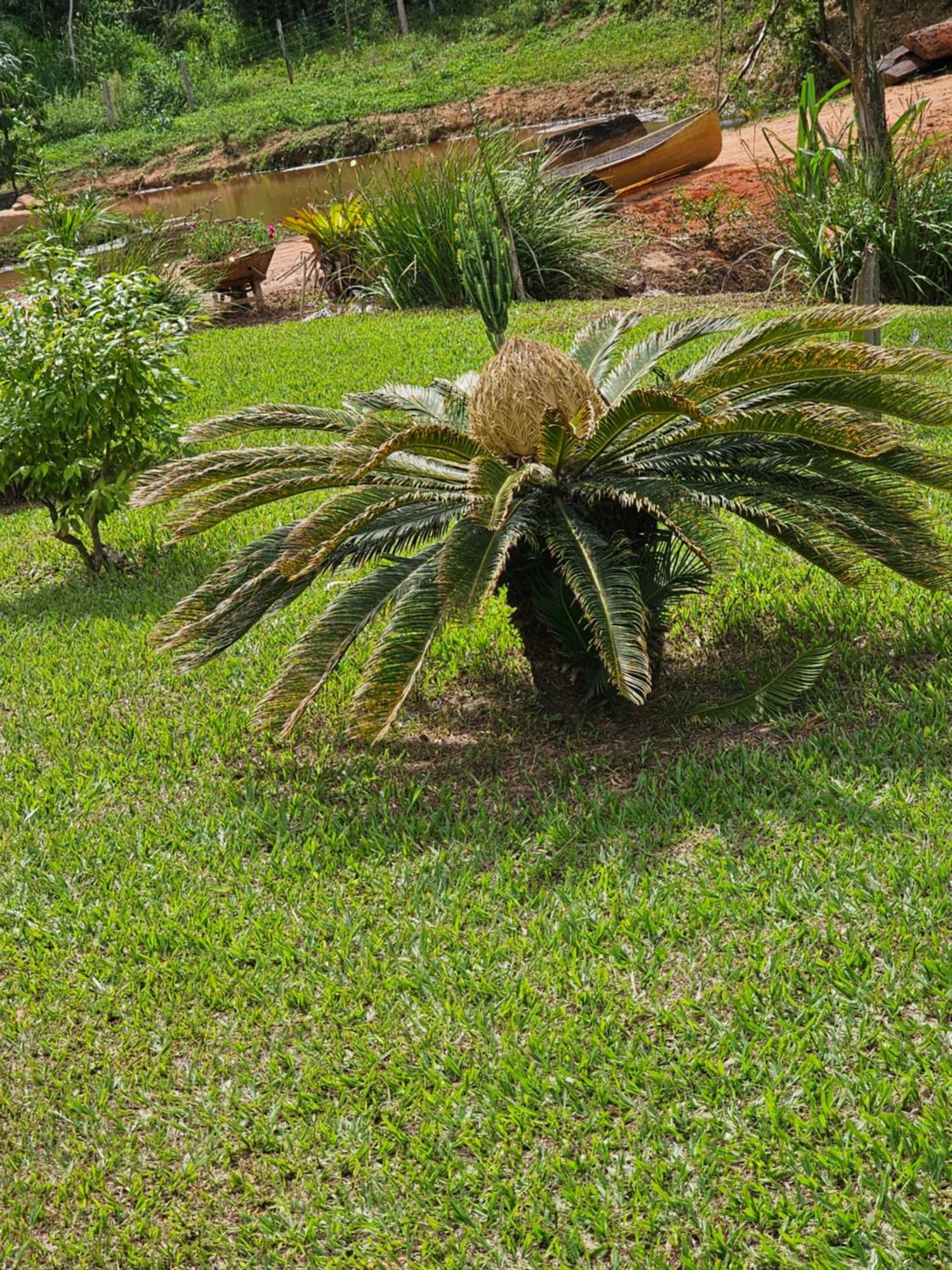 Sitio Reis Membeca Paraiba do Sul Bagian luar foto