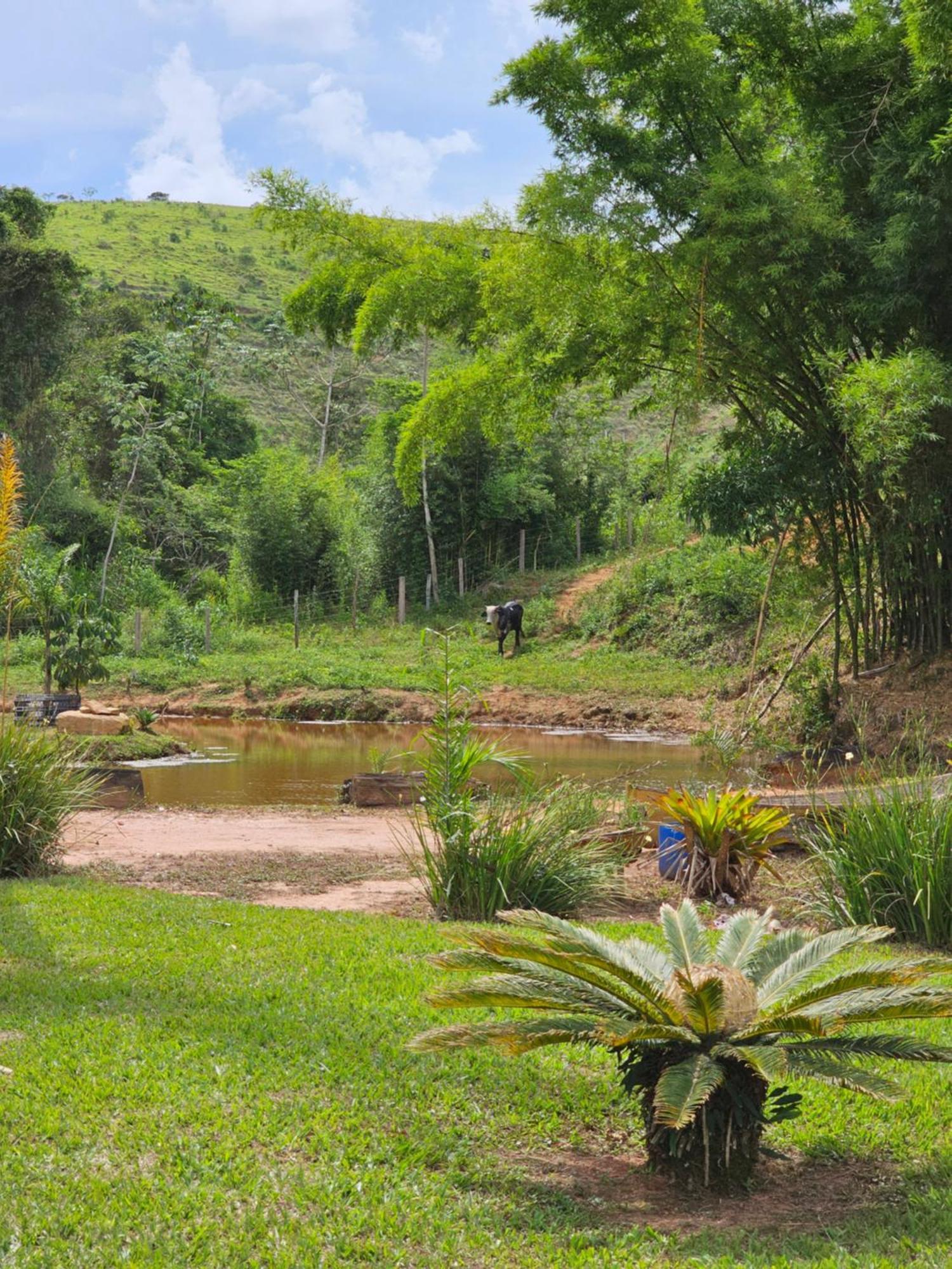 Sitio Reis Membeca Paraiba do Sul Bagian luar foto