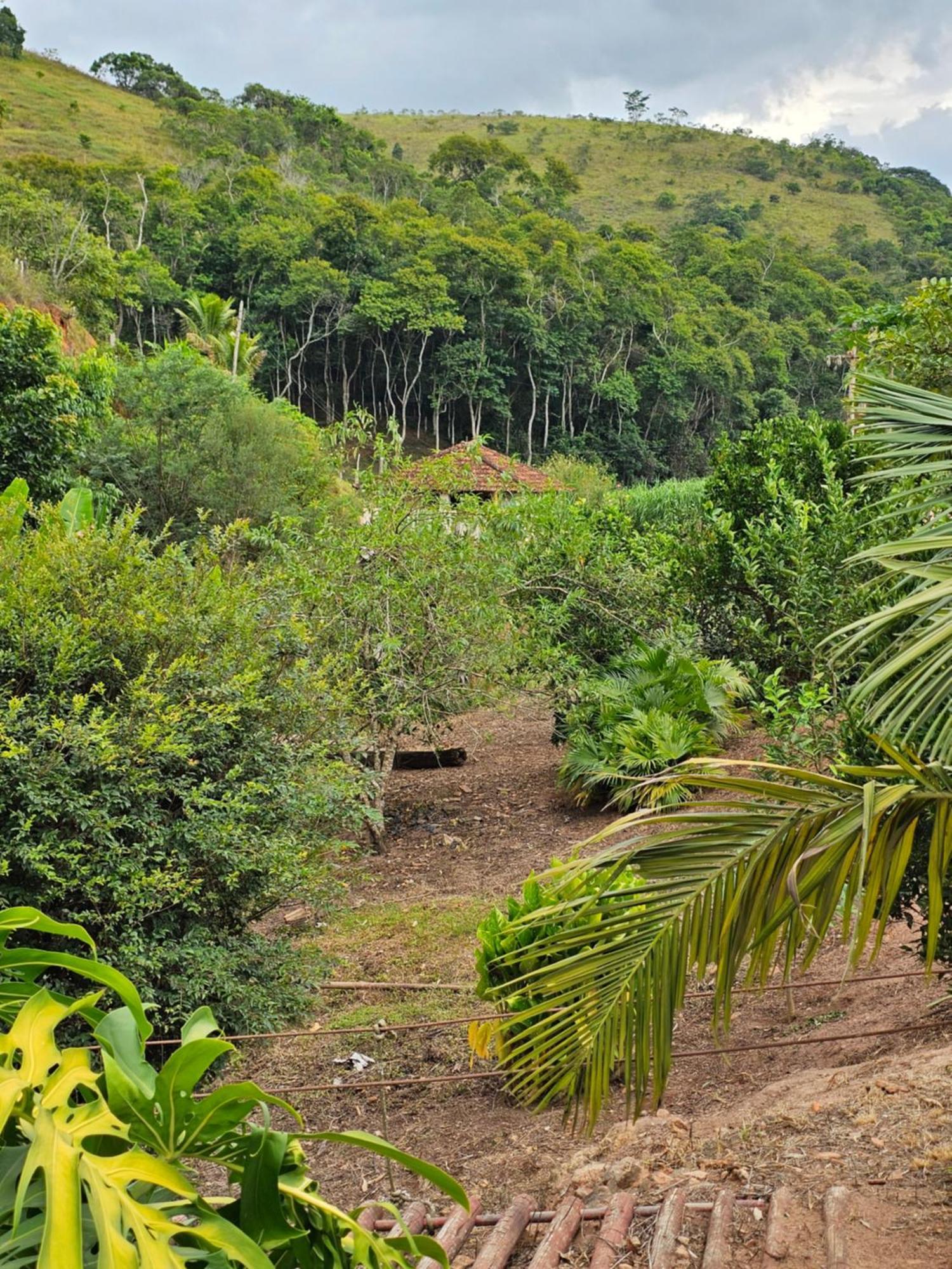 Sitio Reis Membeca Paraiba do Sul Bagian luar foto