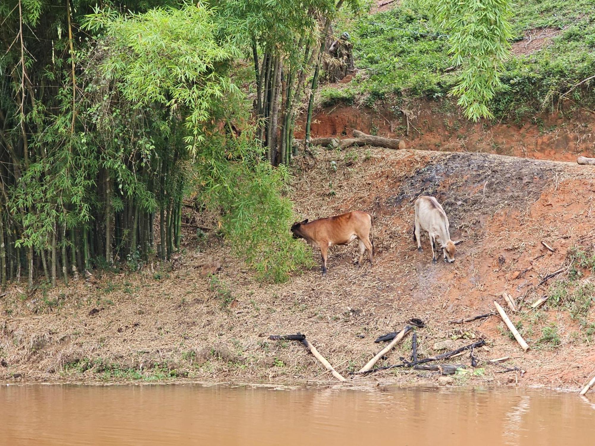 Sitio Reis Membeca Paraiba do Sul Bagian luar foto