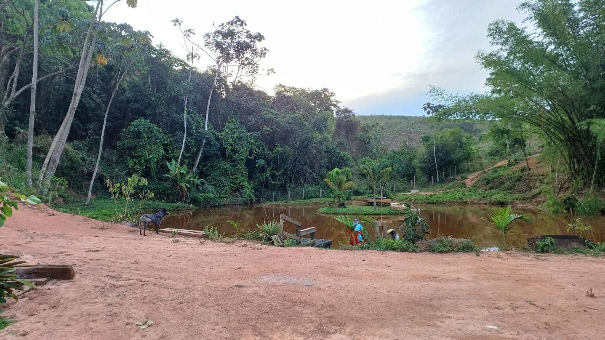 Sitio Reis Membeca Paraiba do Sul Bagian luar foto
